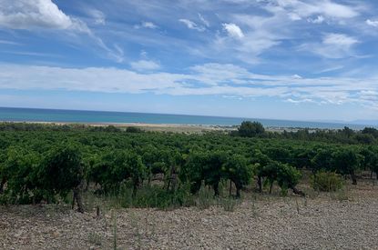 La Clape latest releases