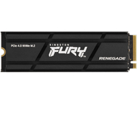 Kingston Fury Renegade