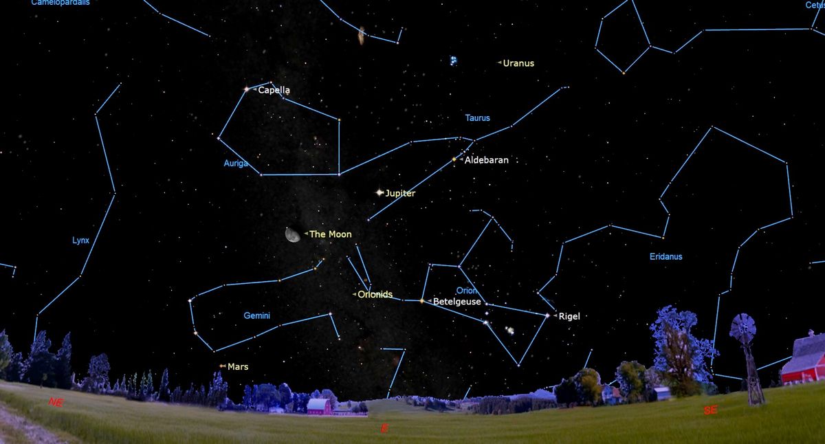 Orionid meteor shower peaks this weekend: How to see bits of Halley's ...