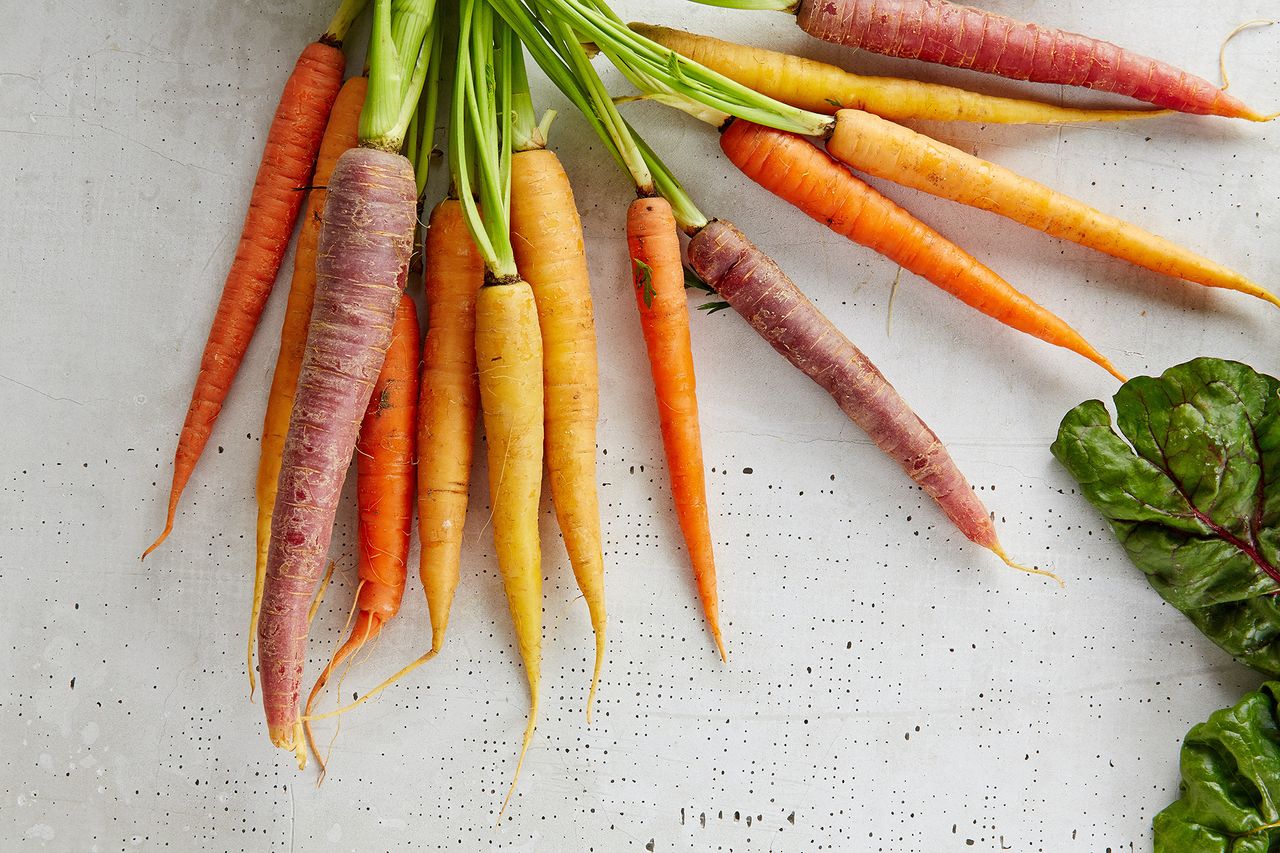 Carrot companion planting unsplash gabriel gurrola