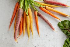 Carrot companion planting unsplash gabriel gurrola