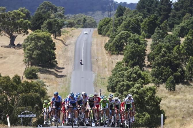 The peloton make their way to Ballarat