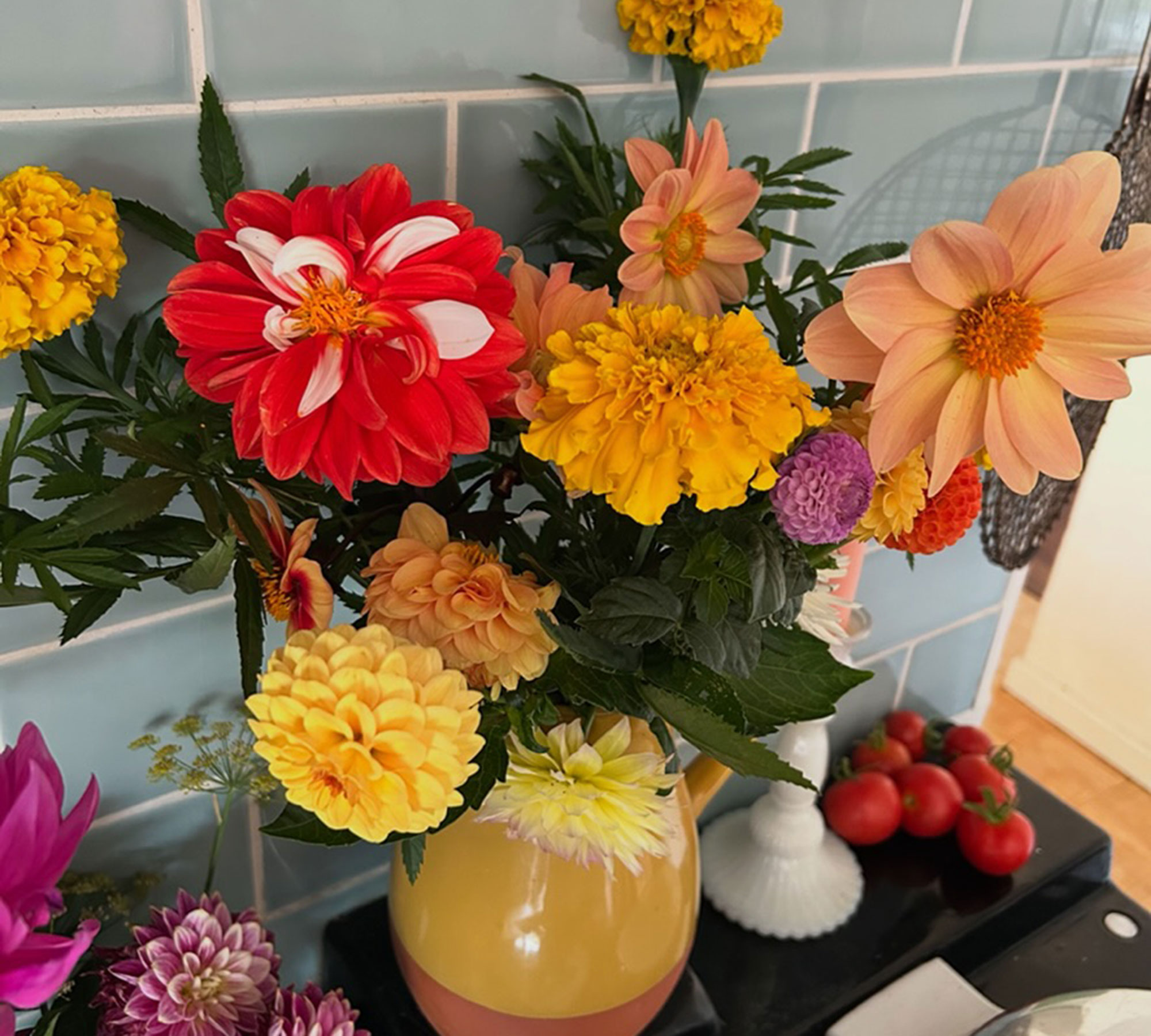Jug in kitchen filled with yellow and orange dahlias