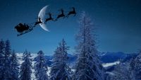 santa's sleigh being pulled by 4 reindeer against the moon in a dark sky above a snowy forest scene