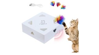Cat playing with Migipaws automated cat toy