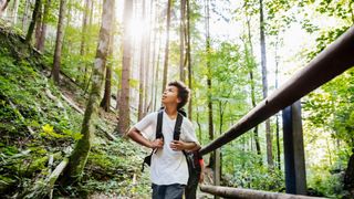 Young boy looking up at trees while hiking. Tom Werner via Getty Images