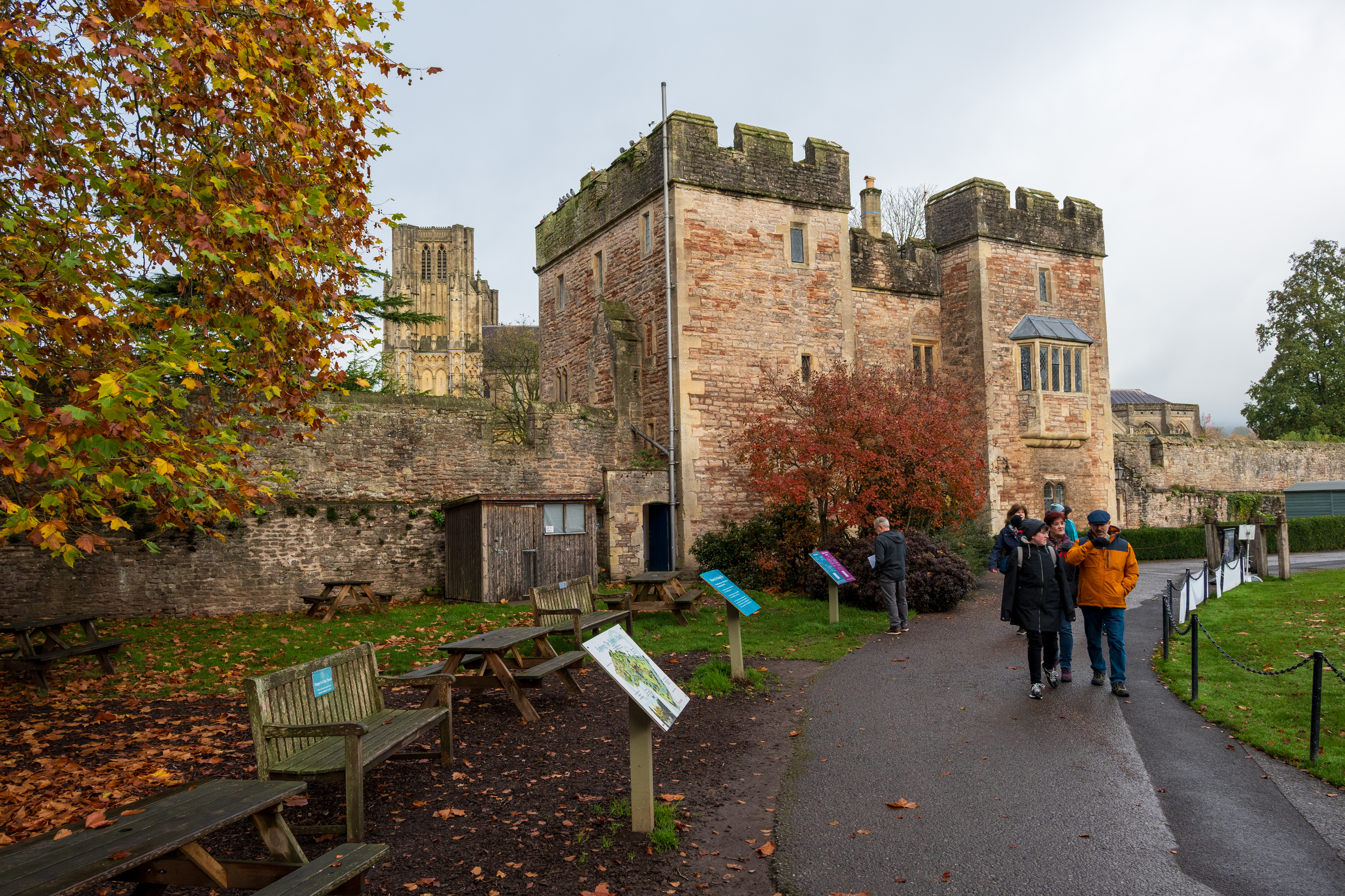 Nikon Z DX 16-50mm f/2.8 VR example shot