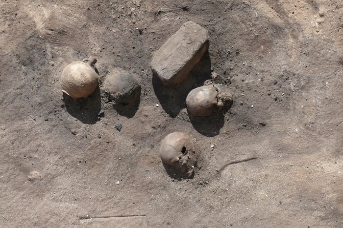The remains found where a bonfire incinerated many of the victims of an ancient epidemic in the city of Thebes in Egypt.