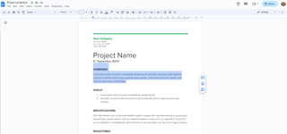 A screenshot of a Google Doc with a paragraph highlighted.
