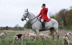 Peter Collins, Quorn huntsman with hounds