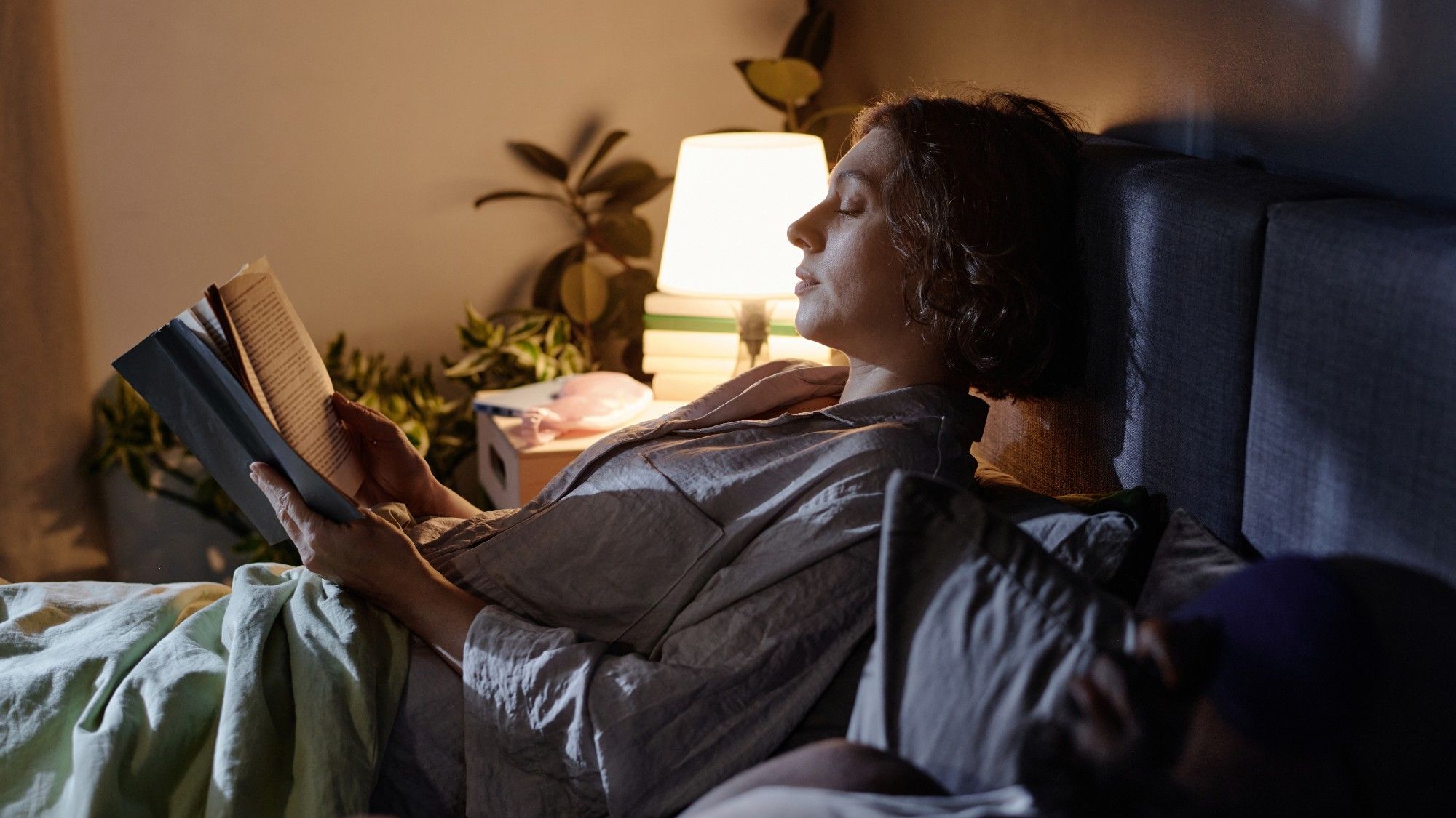 The return of biphasic sleep