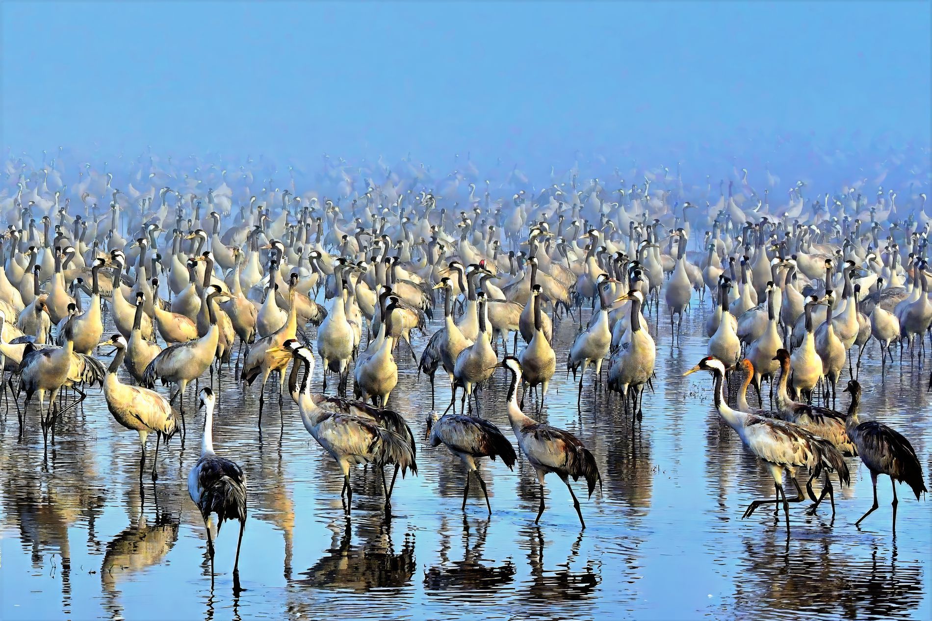 GuruShots - Travel Tales 2025