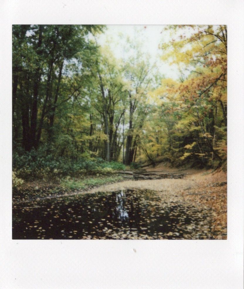 Image samples from the Fujifilm Instax Square 2