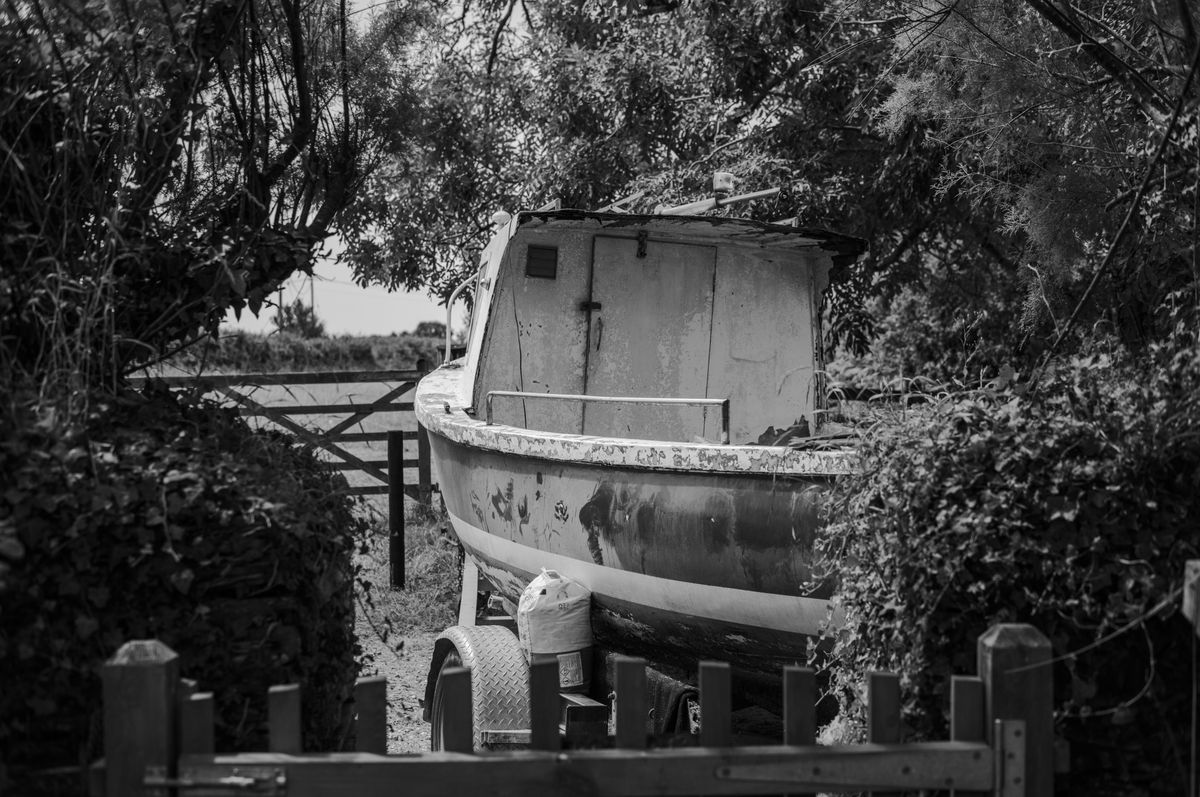 Leica 50mm Summicron-M f/1.4 (classic) samples