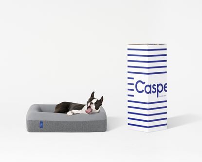 Casper dog mattress 