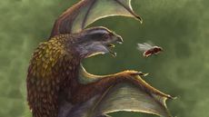 A drawing of the theropod dinosaur Yi qi, which sported bat-like wings. 