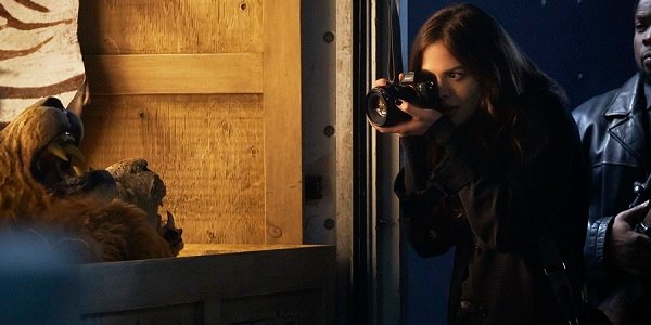 Donna Troy Conor Leslie Titans DC Universe
