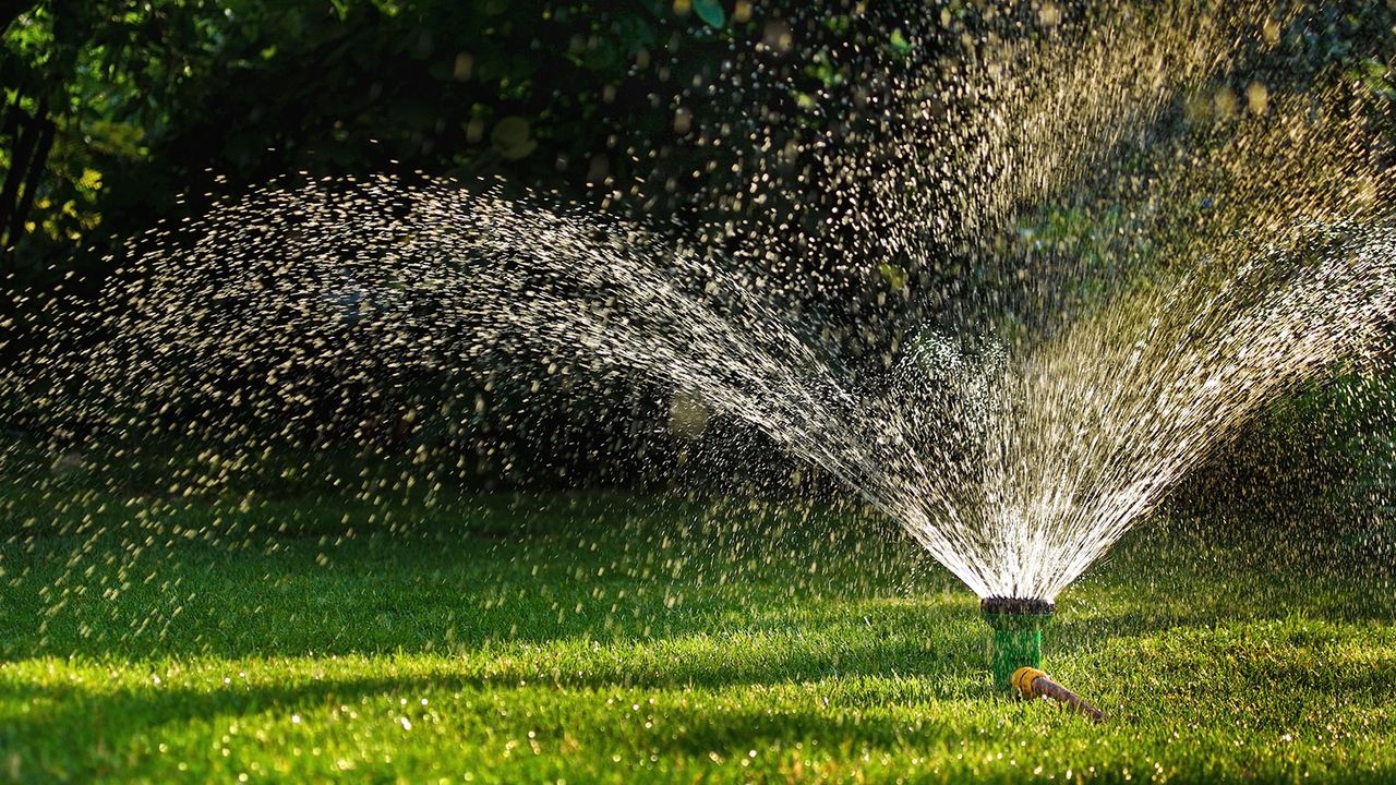 How long should you water your lawn for? Experts advise