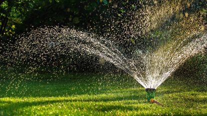 watering a lawn with a sprinkler