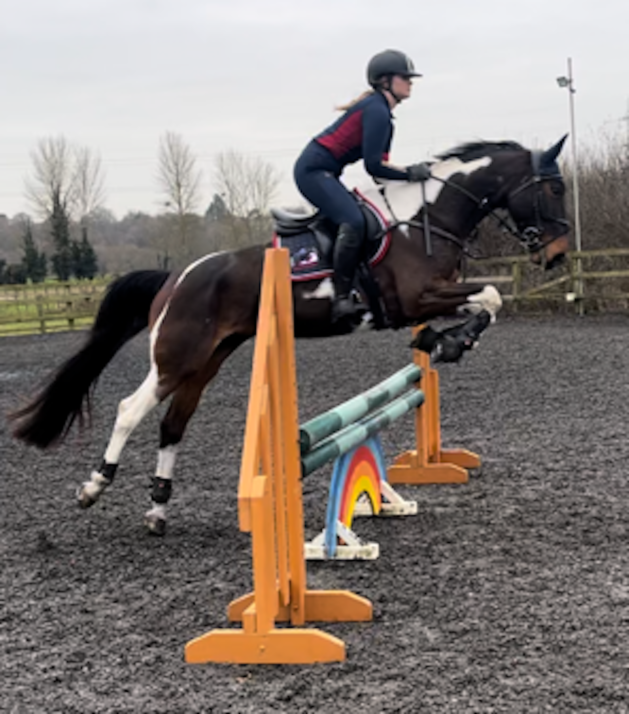 A girl jumping a coloured horse