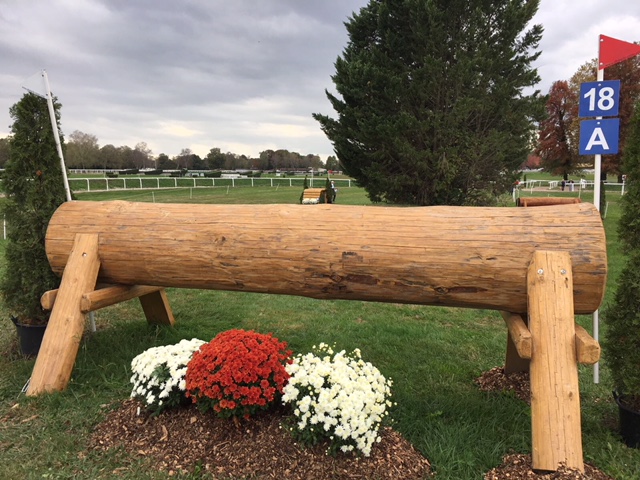 Fence 18a