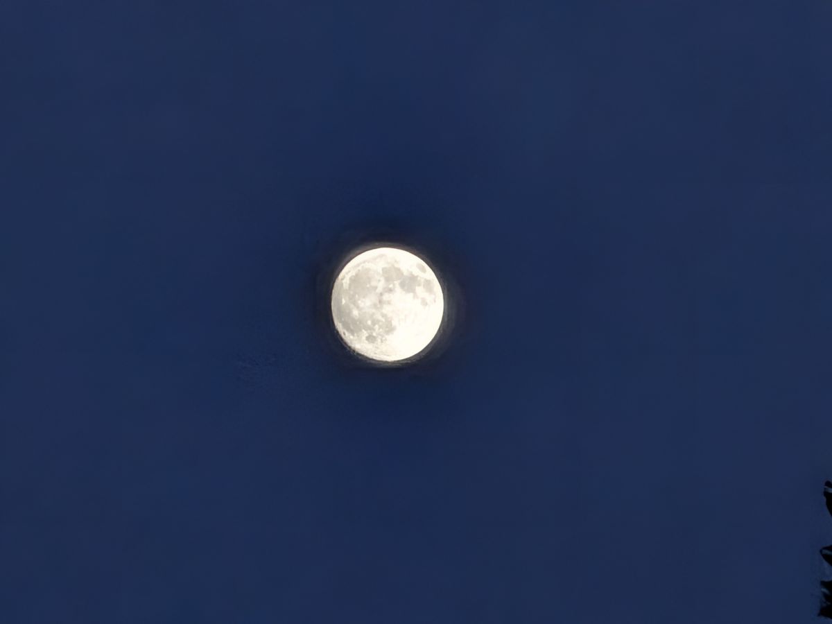 Google Pixel 10 Pro Fold camera samples