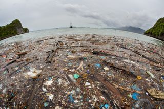 plastic pollution, microplastic