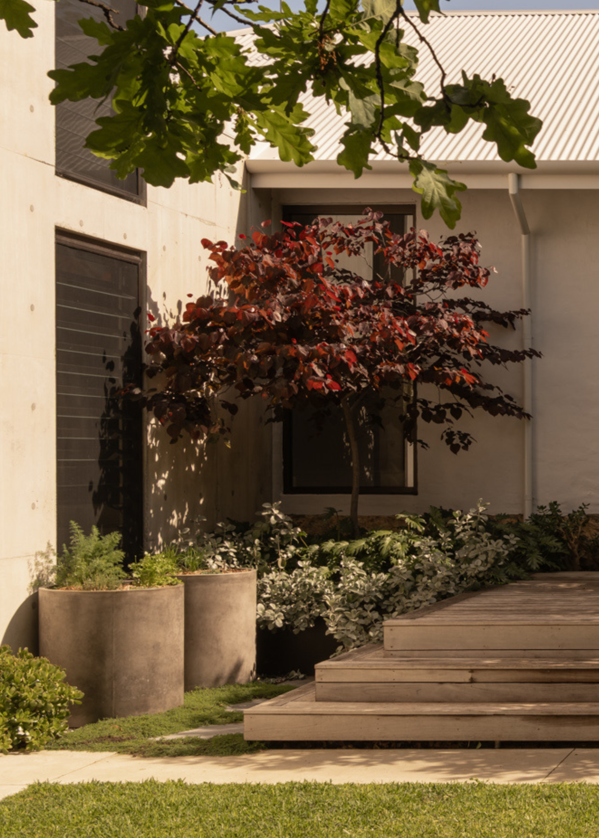 A garden with concrete steps, cement planters, a potted red tree