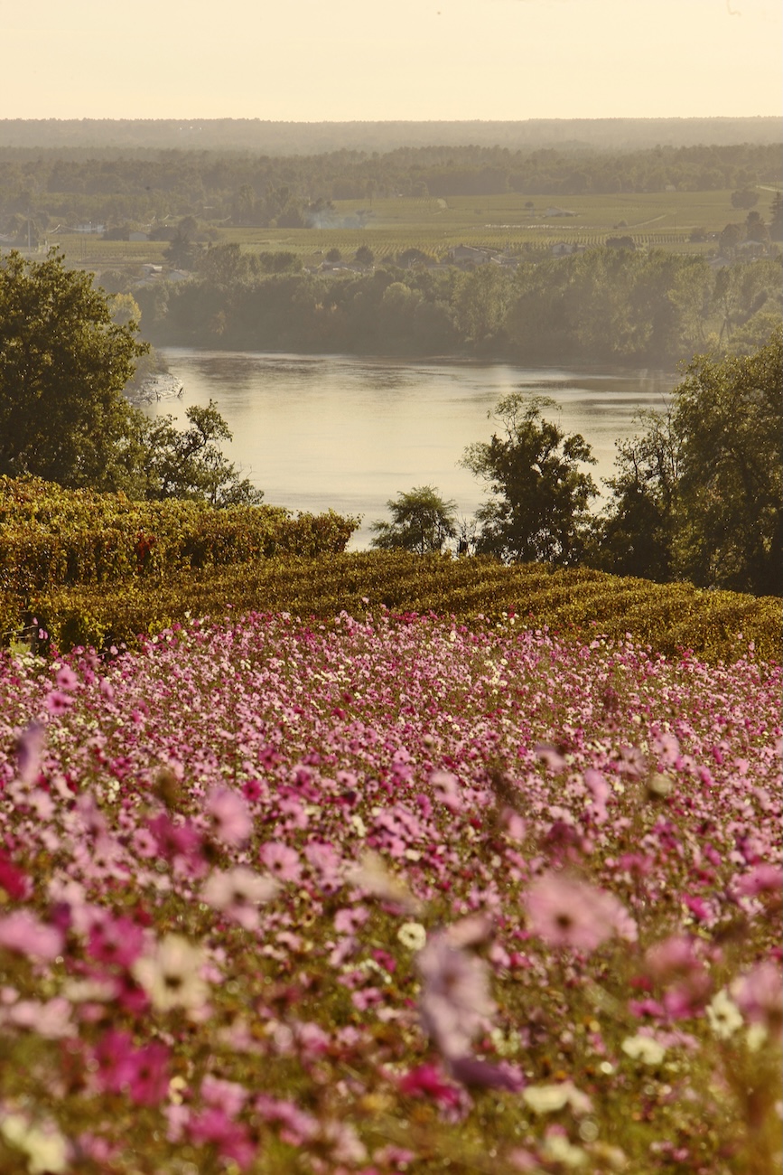 view of the river and flowers at Ch&amp;acirc;teau Biac
