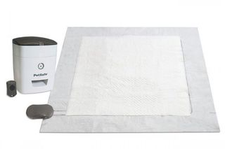 Train 'n Praise Potty Training System