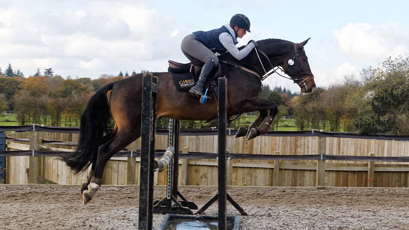 Gibbs-jumping-5-copy_359055611_604589222.jpg