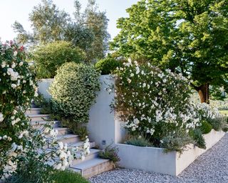 Flower bed ideas with raised bed sensory garden, white blooms and stone steps.