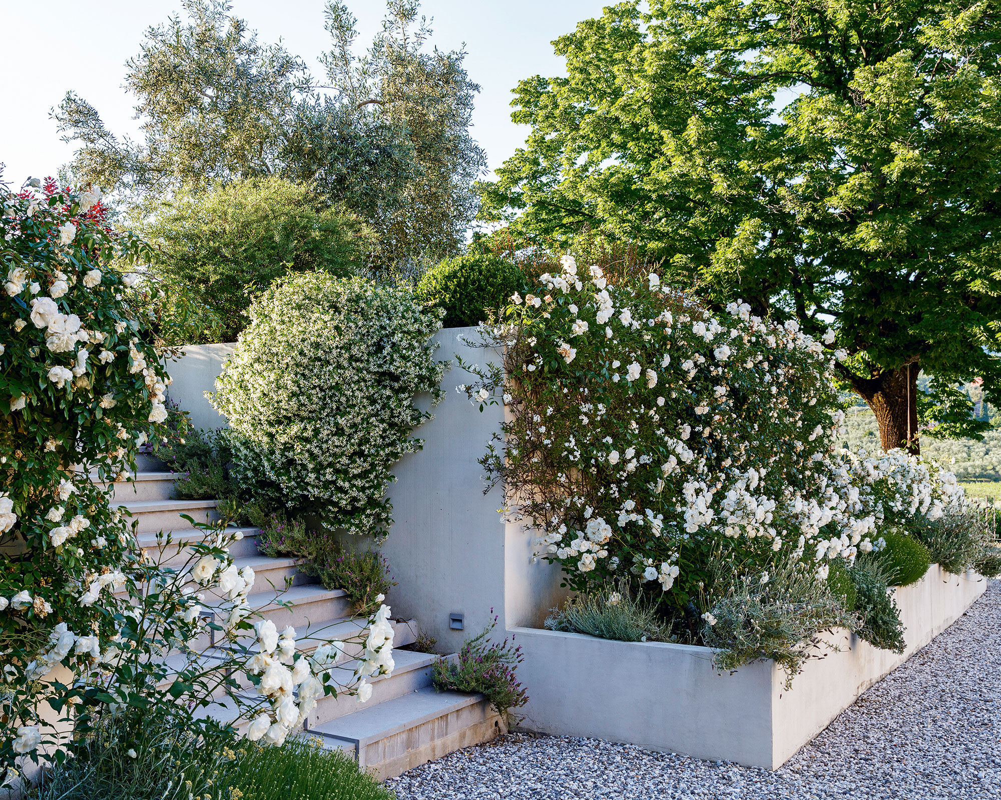 A raised bed with a sensory garden, stone steps and a gravel path