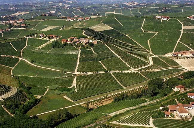 Barbaresco 2015 &amp;amp; Riserva 2013: Latest releases