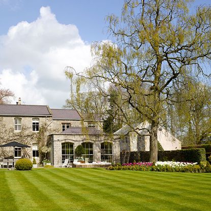 exterior of house with flower and tree in the garden