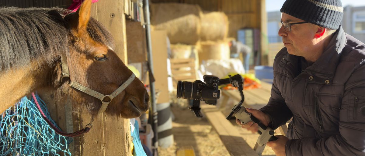 Person using a Zhiyun Cinepeer Crane 4E gimbal to film a horse in a stable