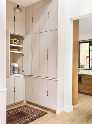 walk in butlers pantry in kitchen with rug and white cabinetry