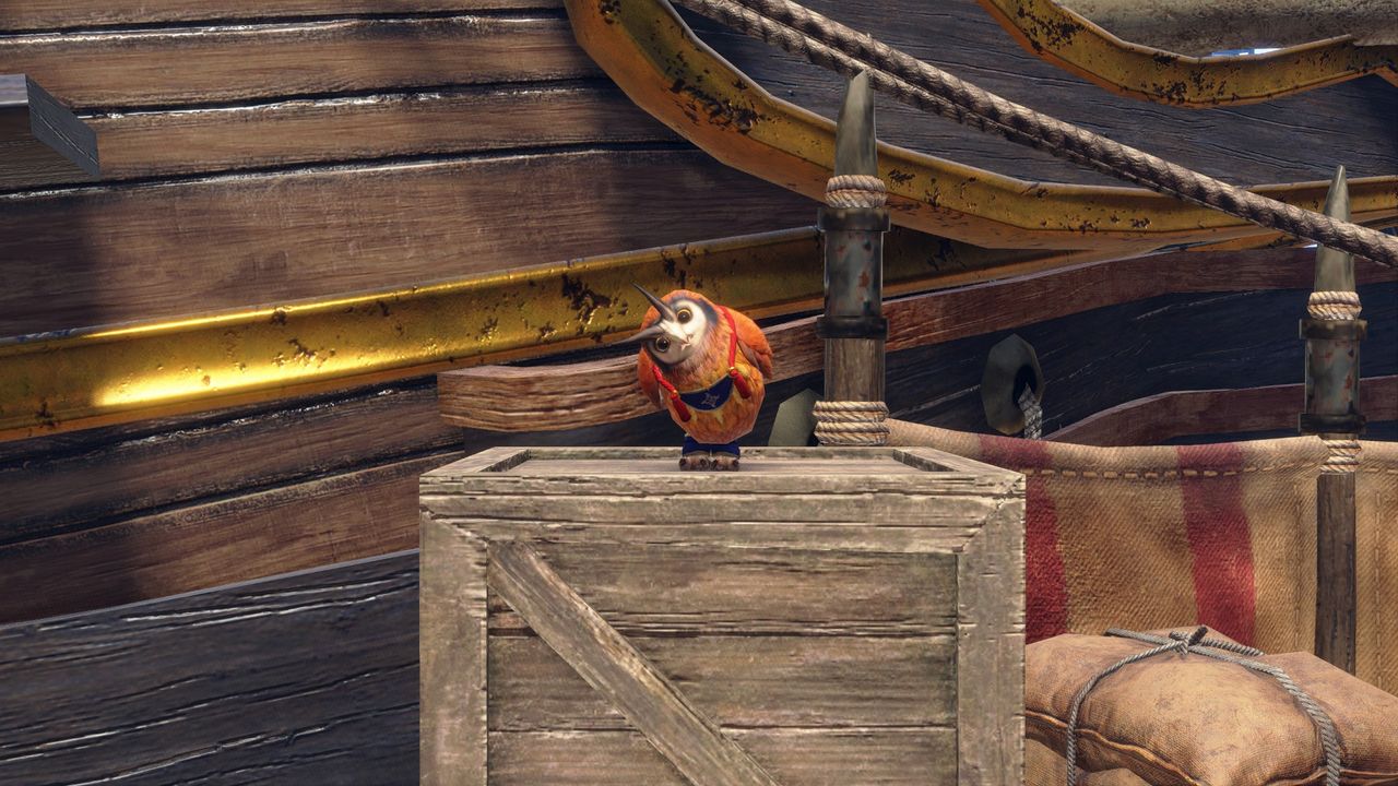 Sunbreak Cohoot in Elgado by the buddy board