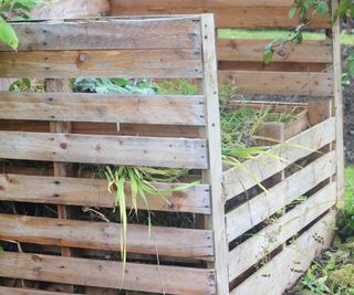 A compost pallet bin with a half-pallet door