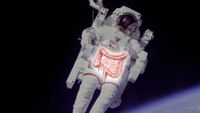 A photo of an astronaut with the large and small intestine textbook image overlain.
