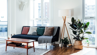 Living room with plant