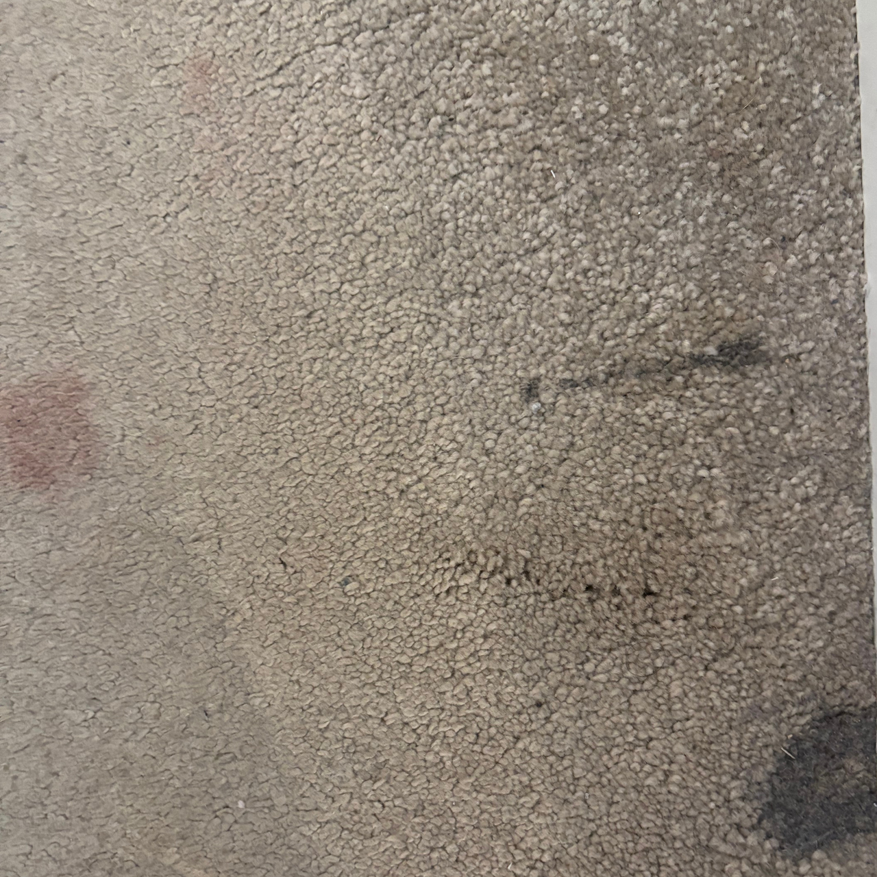 Bedroom carpets with calpol and makeup stains before using the Bissell SpotClean HydroSteam