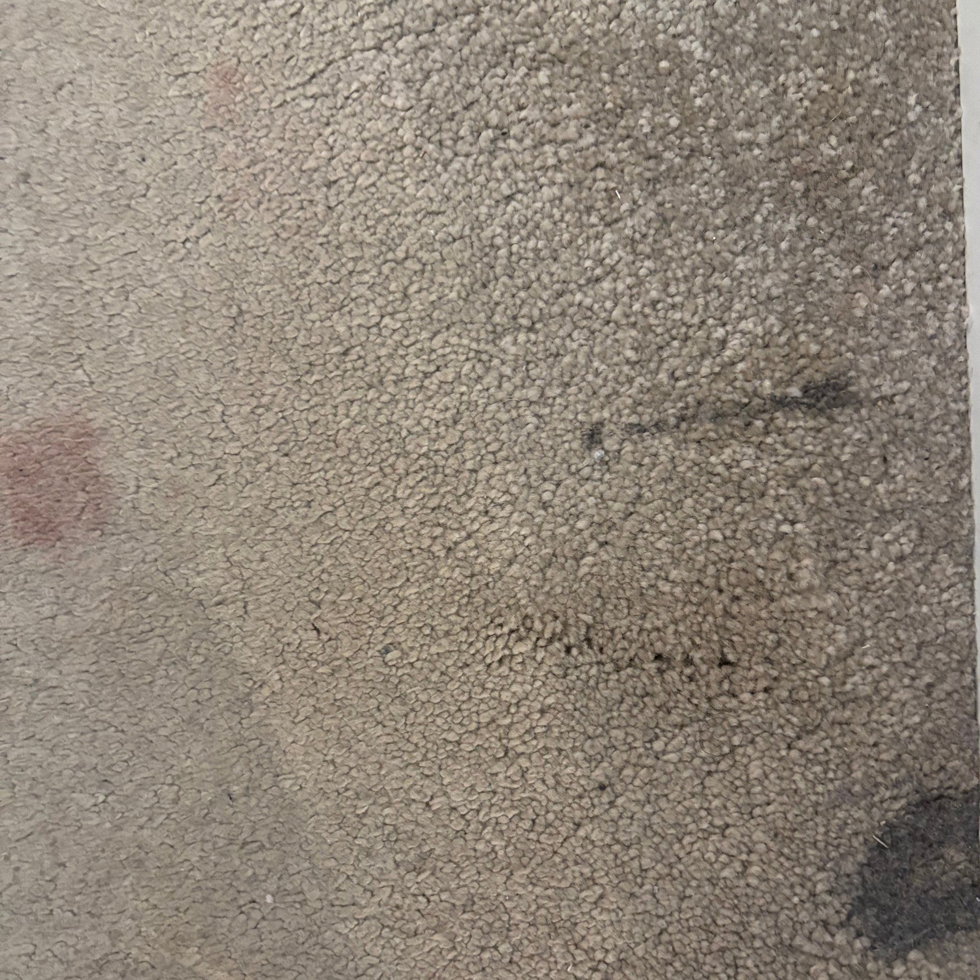 Bedroom carpets with calpol and makeup stains before using the Bissell SpotClean HydroSteam