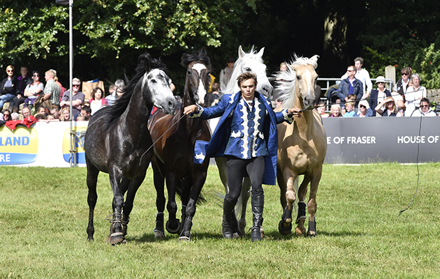 Eventing might have taken centre stage, but we were pretty in awe of the fearless stunt riders from the Atkinson Action Horses as well