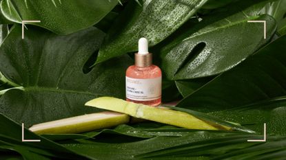 A shot of Biossance firming face oil with leaves and dew drops