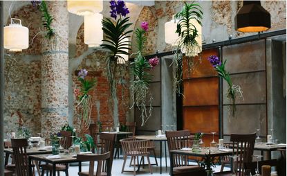 A dining room with wooden tables and chairs, exposed brickwork, and plants hanging from the ceiling