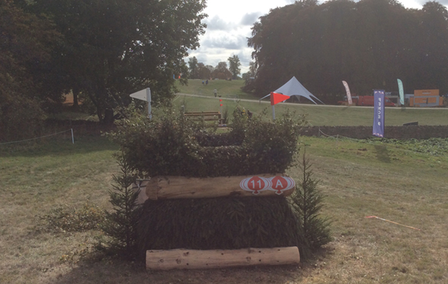 Blenheim Fences 2018