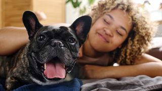 Portrait of cute french dog looking at camera lying on bed together with his owner in background