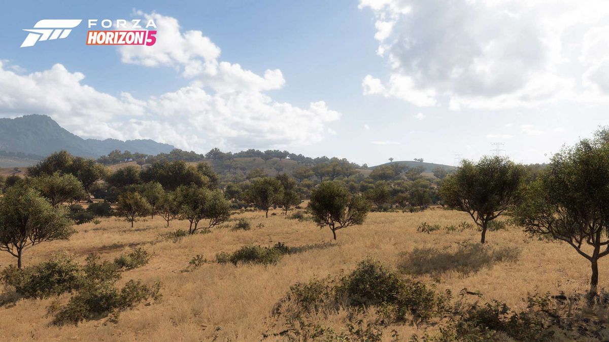 Official screenshot of the Forza Horizon 5 world.