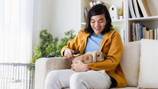 Man brushing rabbit